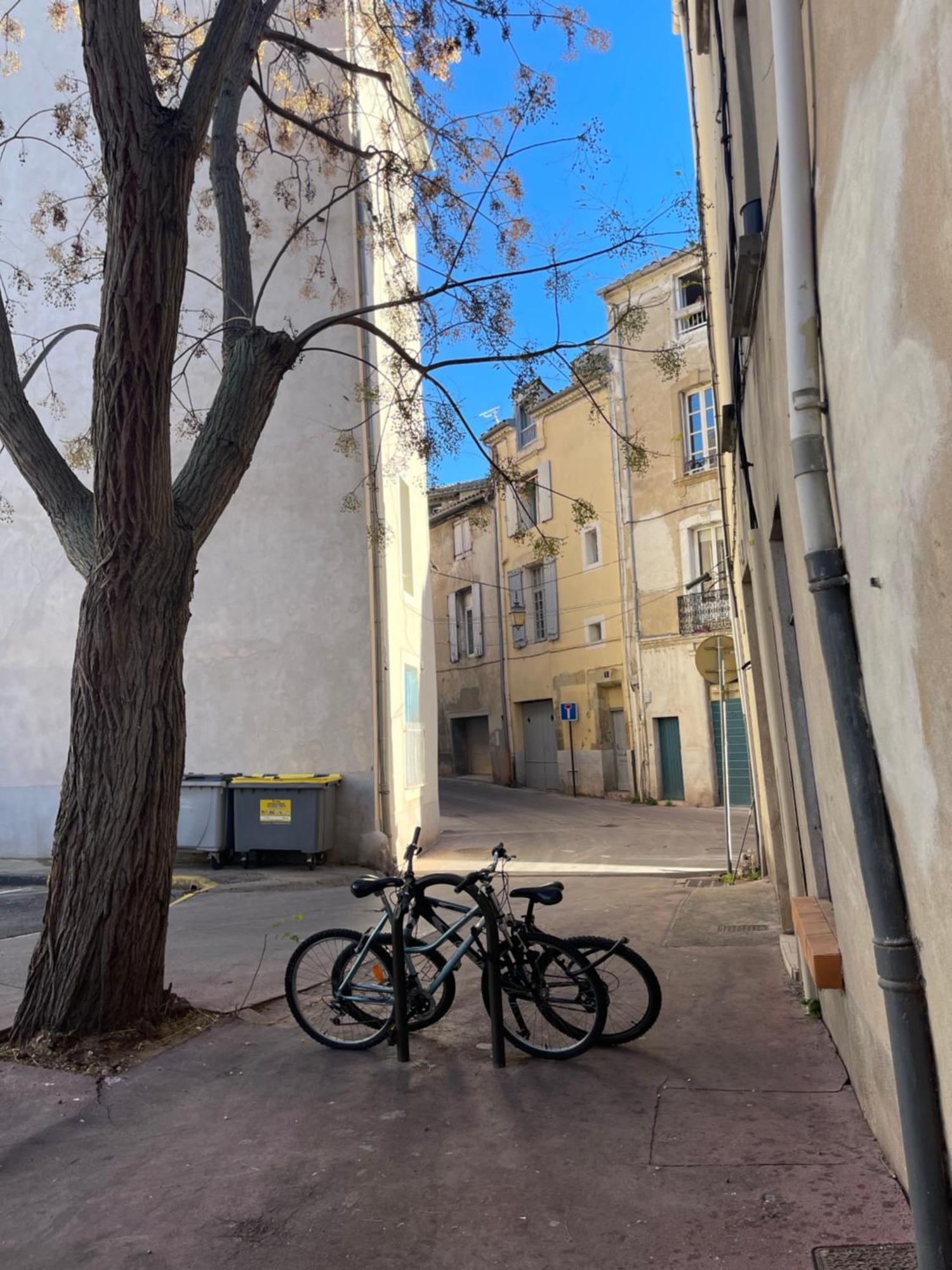 Magnifique Villa 11 Couchages Narbonne Dış mekan fotoğraf
